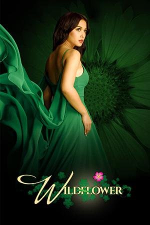 Flor Silvestre (2017)