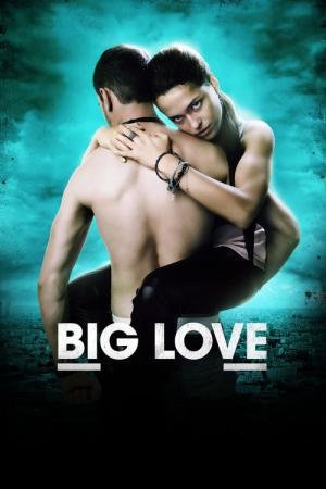 Big Love (2012)