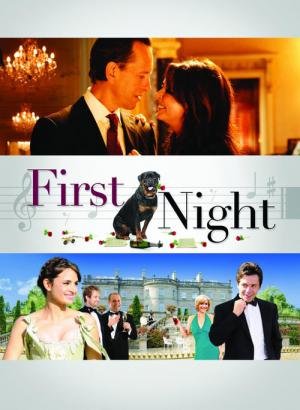 A Noite de Estreia (2010)