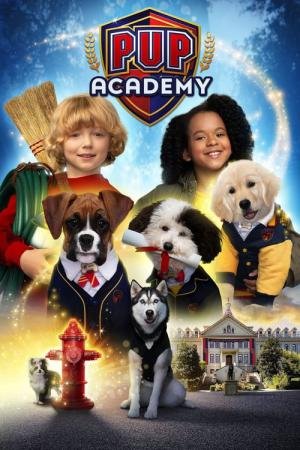 Aucademia (2019)