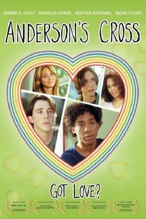 A Farsa de Anderson (2010)