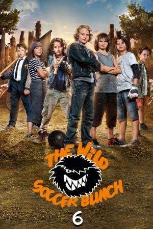 Feras do Futebol 6 (2016)