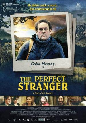 El perfecto desconocido (2011)