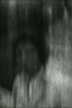 The Carnivore (2016)