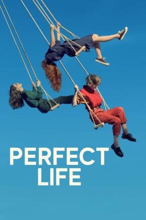 Vida Perfeita (2019)