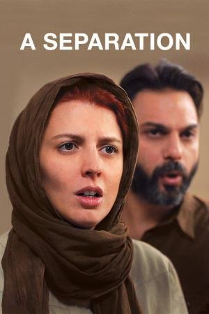 A Separação (2011)