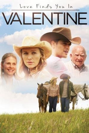 Encontrando o Amor em Nebraska (2016)