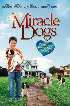 O Milagre dos Cães (2003)