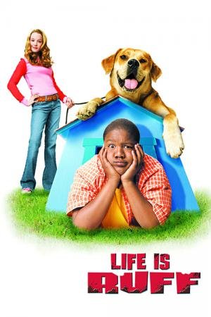 Cãofusões (2005)