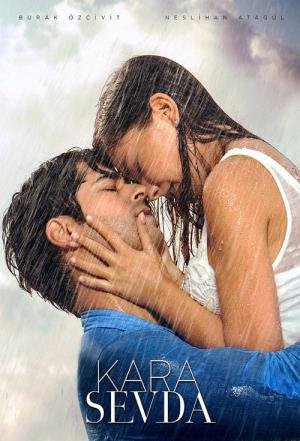 Amor Sem Fim (2015)