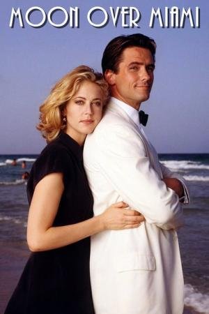 Sob o Sol de Miami (1993)