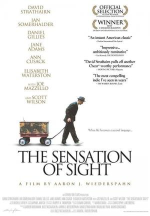 A Sensação de Ver (2006)