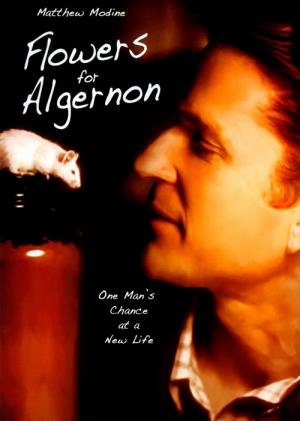 Um Amigo para Algernon (2000)