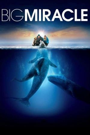 O Grande Milagre (2012)