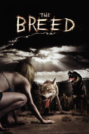 Cães Assassinos (2006)