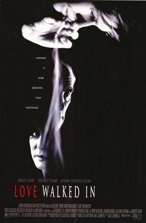 Sedução Chantagista (1997)