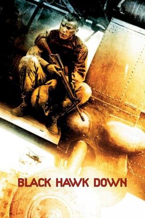 Falcão Negro em Perigo (2001)