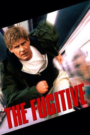 O Fugitivo (1993)
