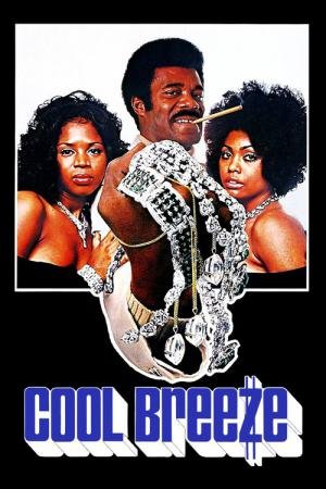 A Essência de um Roubo (1972)
