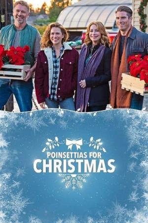 Flores de Natal (2018)
