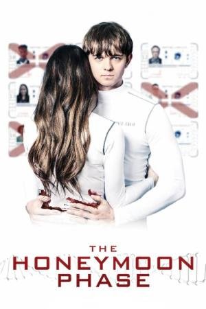 Amor Experimental (2019)