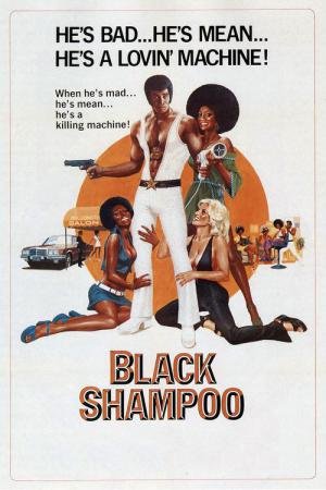 Black Shampoo (1976)