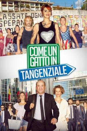 Como um Gato na Marginal (2017)