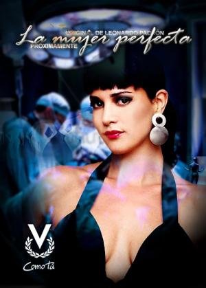 A Mulher Perfeita (2010)