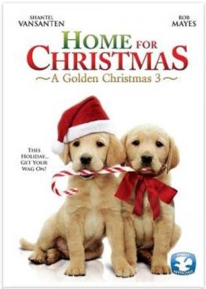 Amor de Natal (2012)