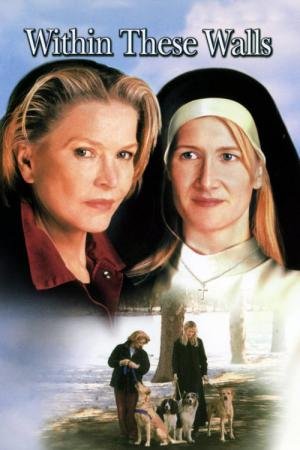 Uma Última Chance (2001)