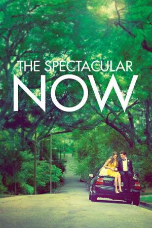 O Maravilhoso Agora (2013)