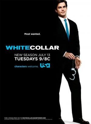 Crimes do Colarinho Branco (2009)