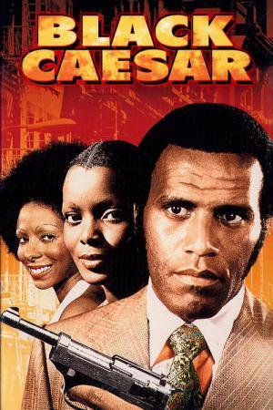 O Chefão de New York (1973)