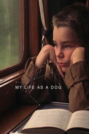Minha Vida de Cachorro (1985)