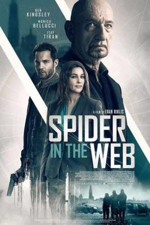 Aranha na Teia (2019)