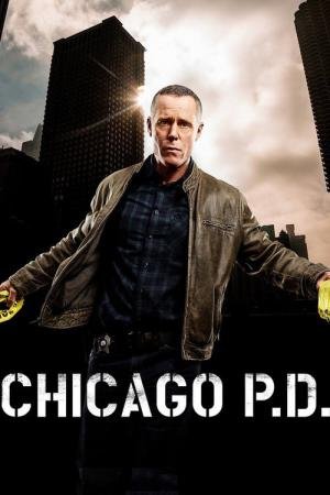 Chicago P.D.: Distrito 21 (2014)
