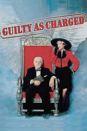 Justiceiro a Domicílio (1991)