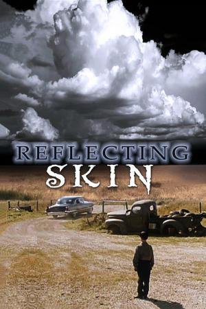 O Reflexo do Mal (1990)