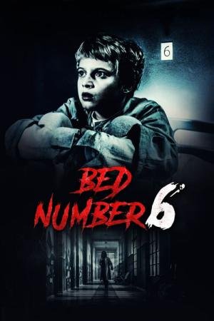O Garoto do Leito 6 (2019)