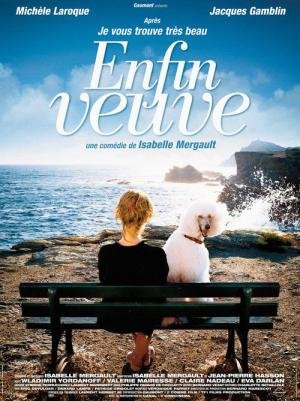 Enfim Viúva (2007)