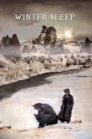 Sono de Inverno (2014)
