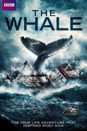 A Baleia (2013)