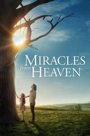 Milagres do Paraíso (2016)