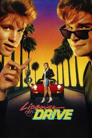 Sem Licença para Dirigir (1988)