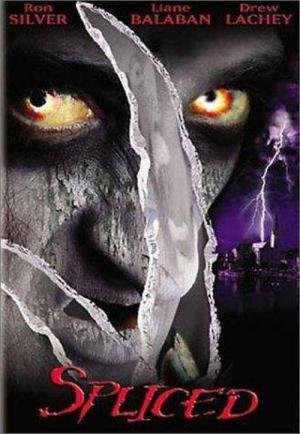 O Senhor dos Sonhos (2002)