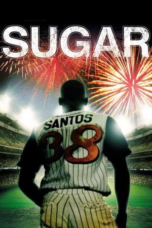 Perseguindo Um Sonho (2008)