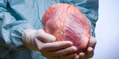 filmes sobre transplante de coração