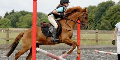 filmes sobre salto de cavalo