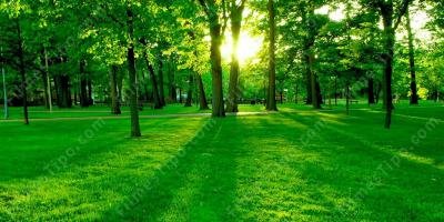 filmes sobre natureza