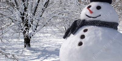 filmes sobre boneco de neve